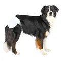 Ďalší obrázok produktu Papierové plienky pre sučky (12 ks/bal.) L: 38-56 cm