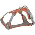 Postroj PREMIUM ACTIVE, hrdzavá L: 69-87 cm / 25 mm